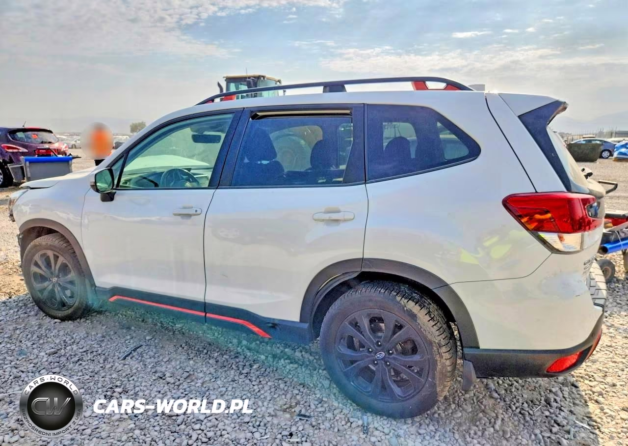 2019 Subaru Forester Sport VIN:JF2SKAKC5KH445663 - 2