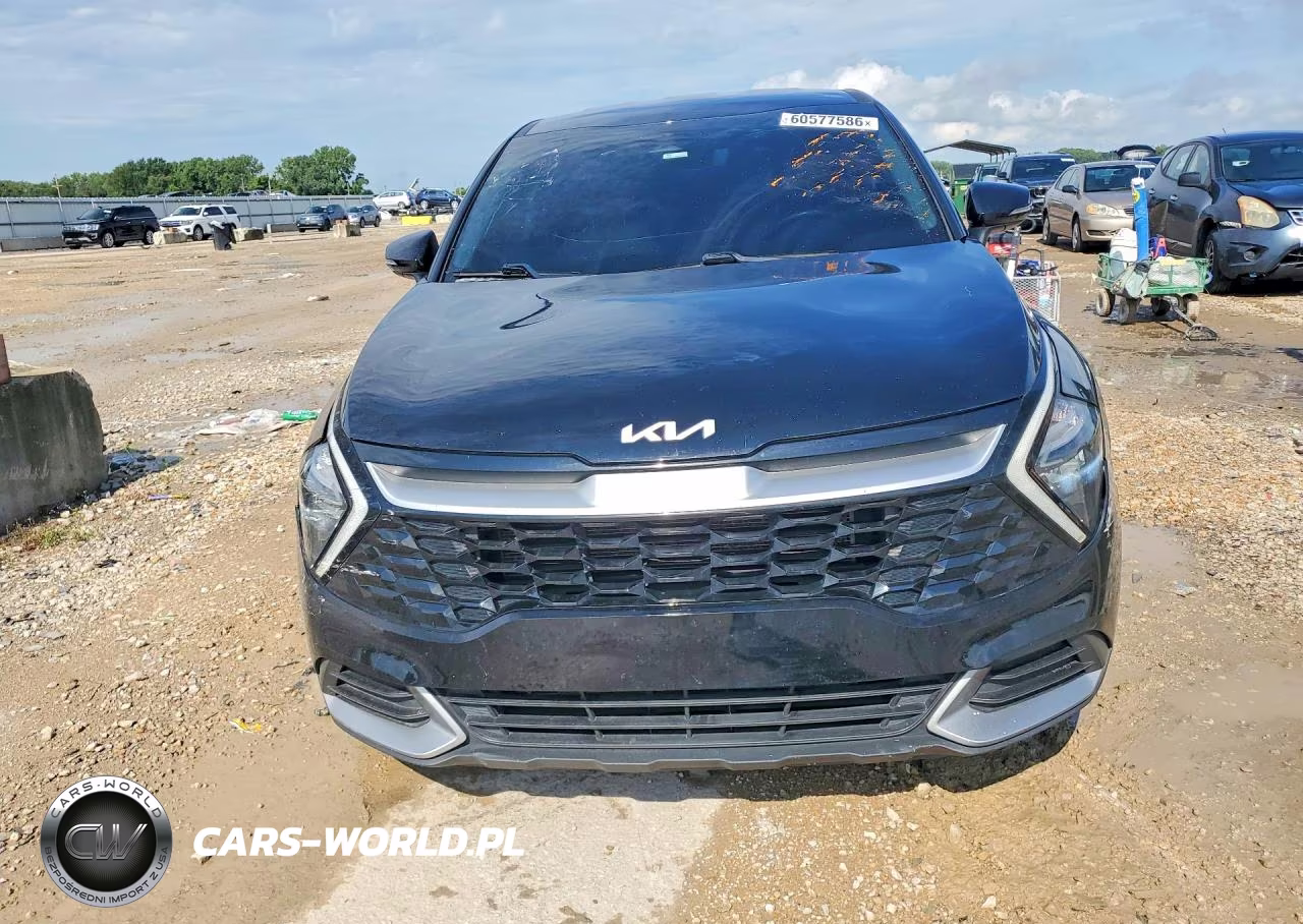2023 Kia Sportage Ex VIN:5XYK33AF7PG099800 - 5