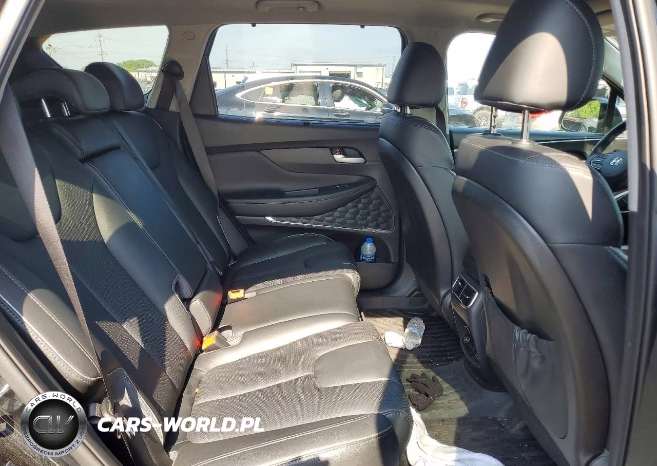 2023 Hyundai Santa Fe Limited VIN:5NMS5DA13PH015627 - 10