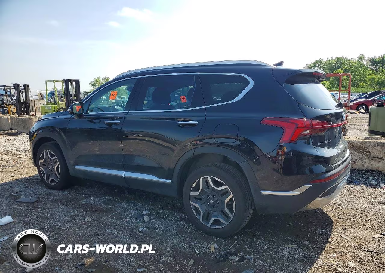 2023 Hyundai Santa Fe Limited VIN:5NMS5DA13PH015627 - 2