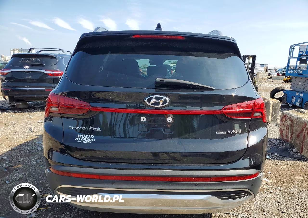 2023 Hyundai Santa Fe Limited VIN:5NMS5DA13PH015627 - 6