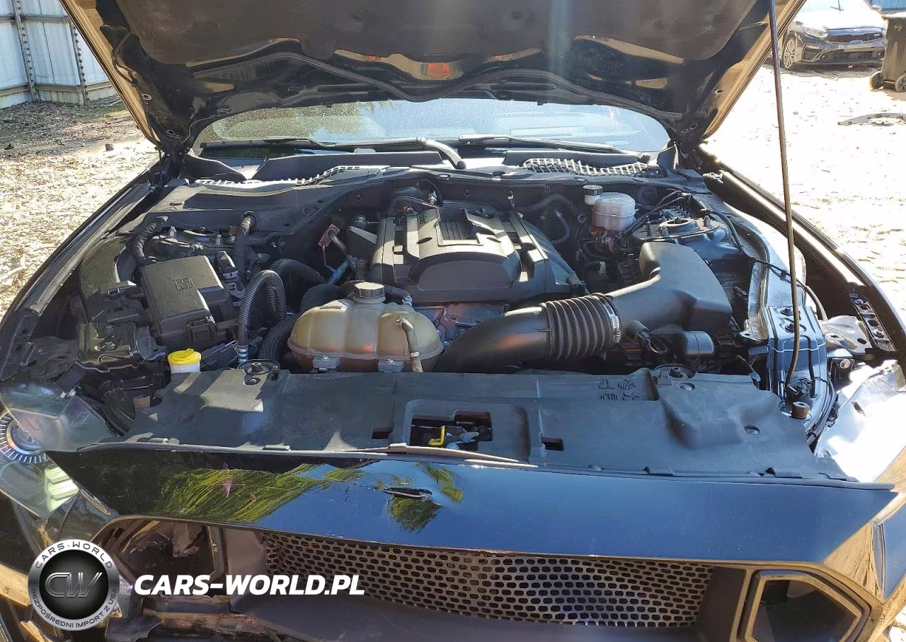 2020 Ford Mustang VIN:1FA6P8TH1L5102989 - 11
