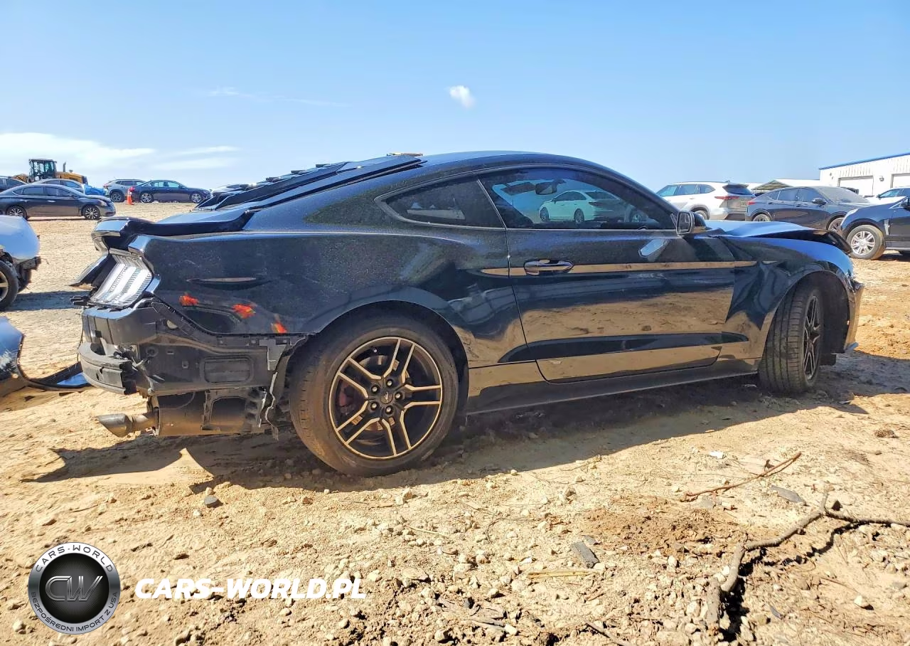 2020 Ford Mustang VIN:1FA6P8TH1L5102989 - 3