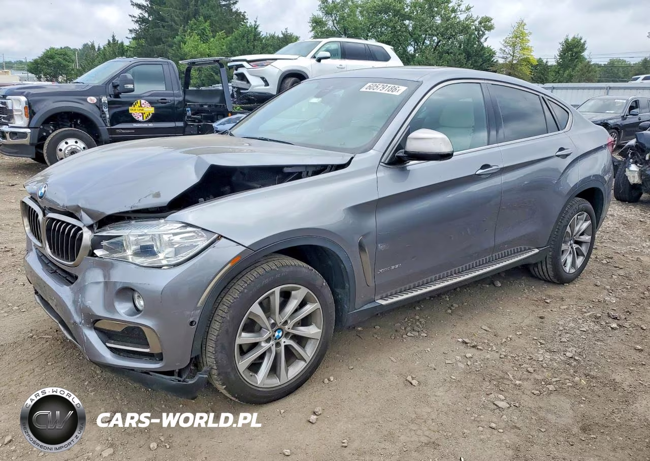 2019 BMW X6 xDrive35I VIN:5UXKU2C57K0Z63219 - 1