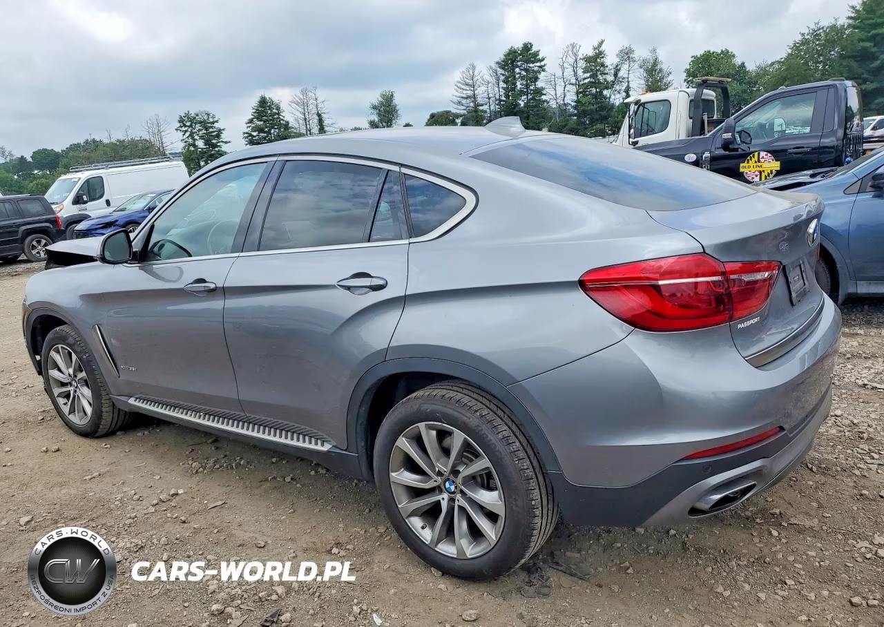 2019 BMW X6 xDrive35I VIN:5UXKU2C57K0Z63219 - 2