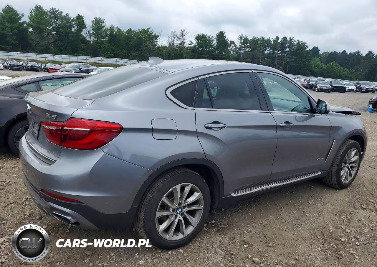 2019 BMW X6 xDrive35I VIN:5UXKU2C57K0Z63219 - 3