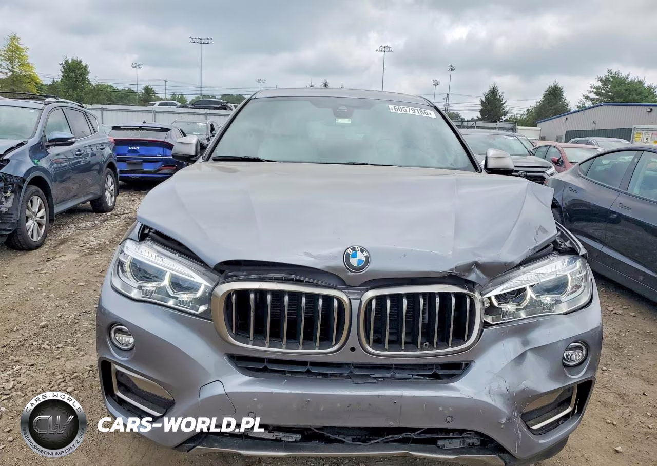 2019 BMW X6 xDrive35I VIN:5UXKU2C57K0Z63219 - 5
