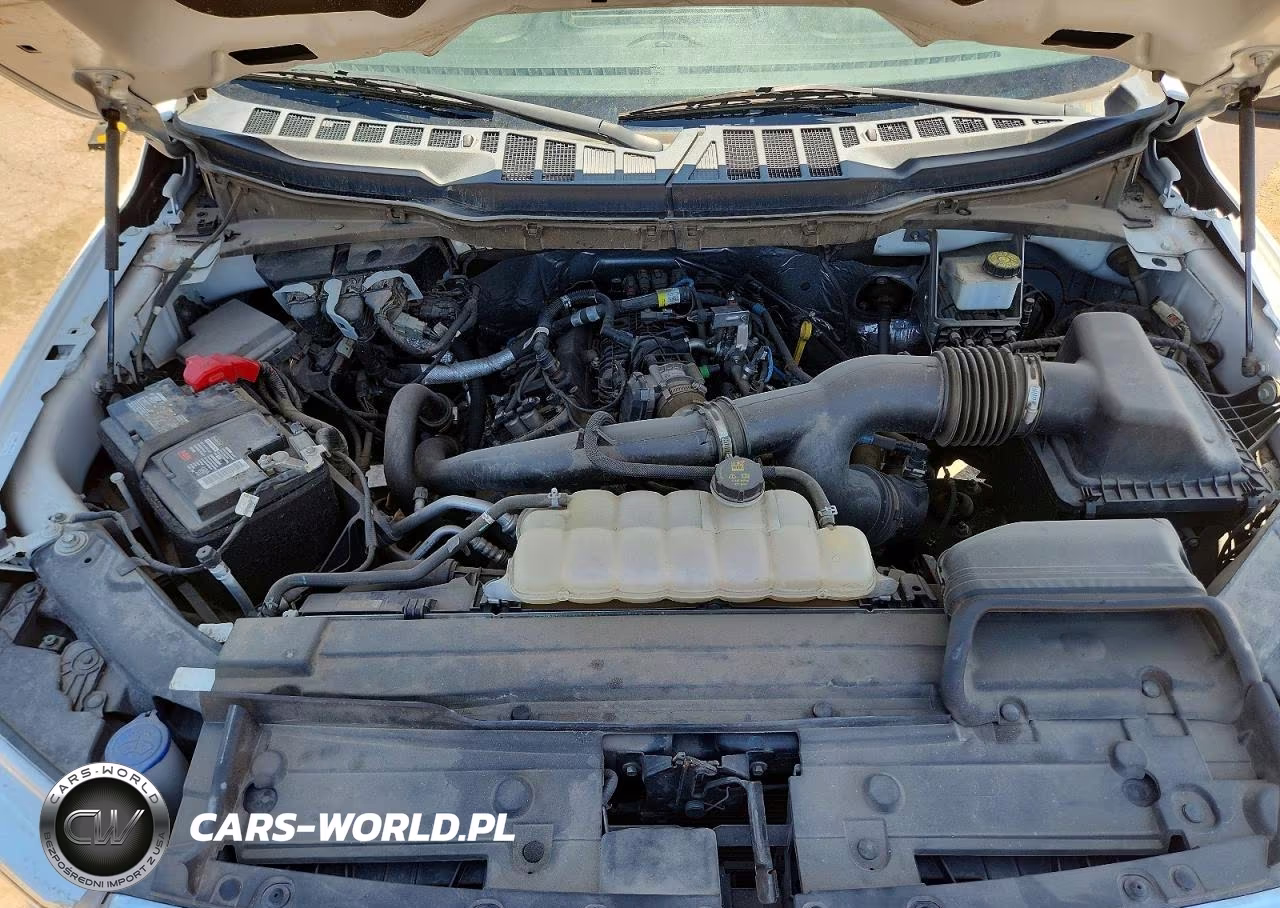 2021 Ford F150 Supercrew VIN:1FTEW1EPXMKD22221 - 11