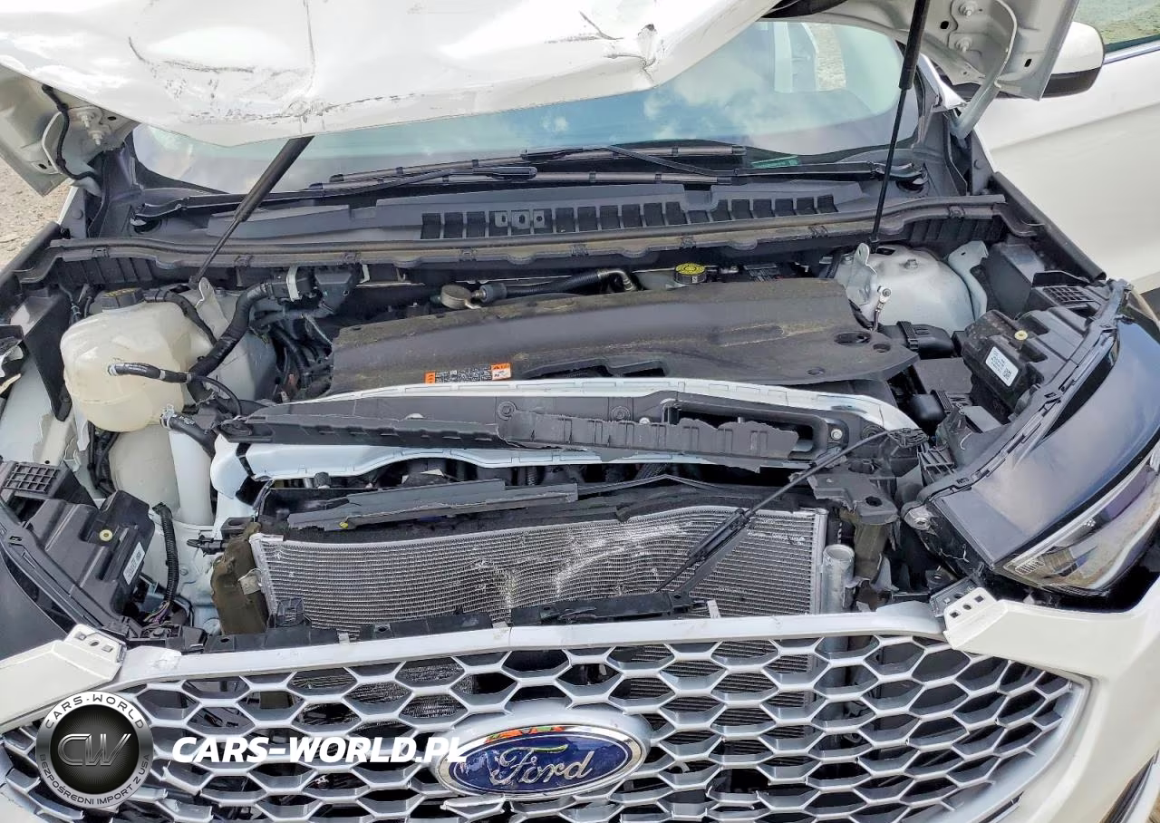 2024 Ford Edge Sel VIN:2FMPK4J90RBB16187 - 12