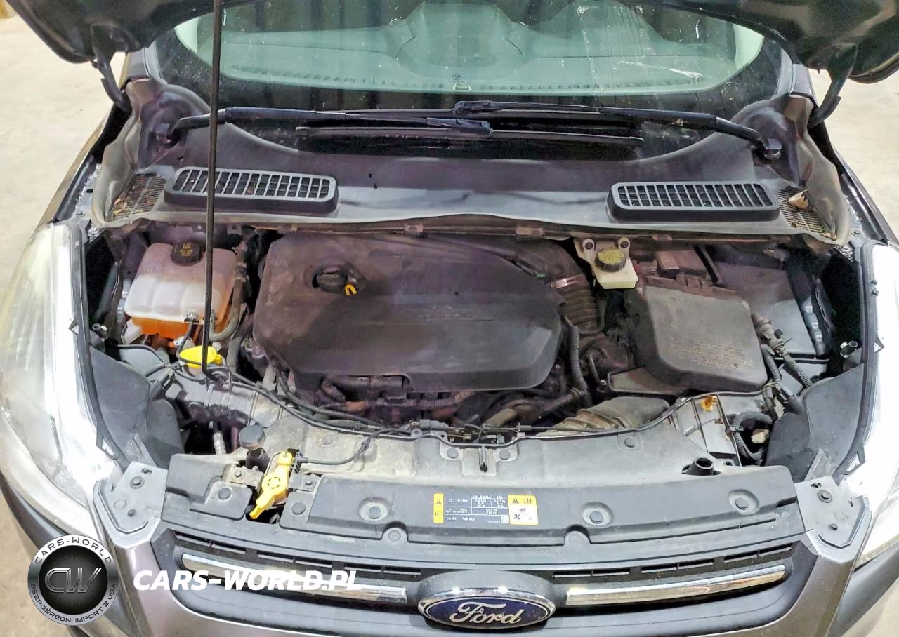 2014 Ford Escape Se VIN:1FMCU9GX1EUA05485 - 12