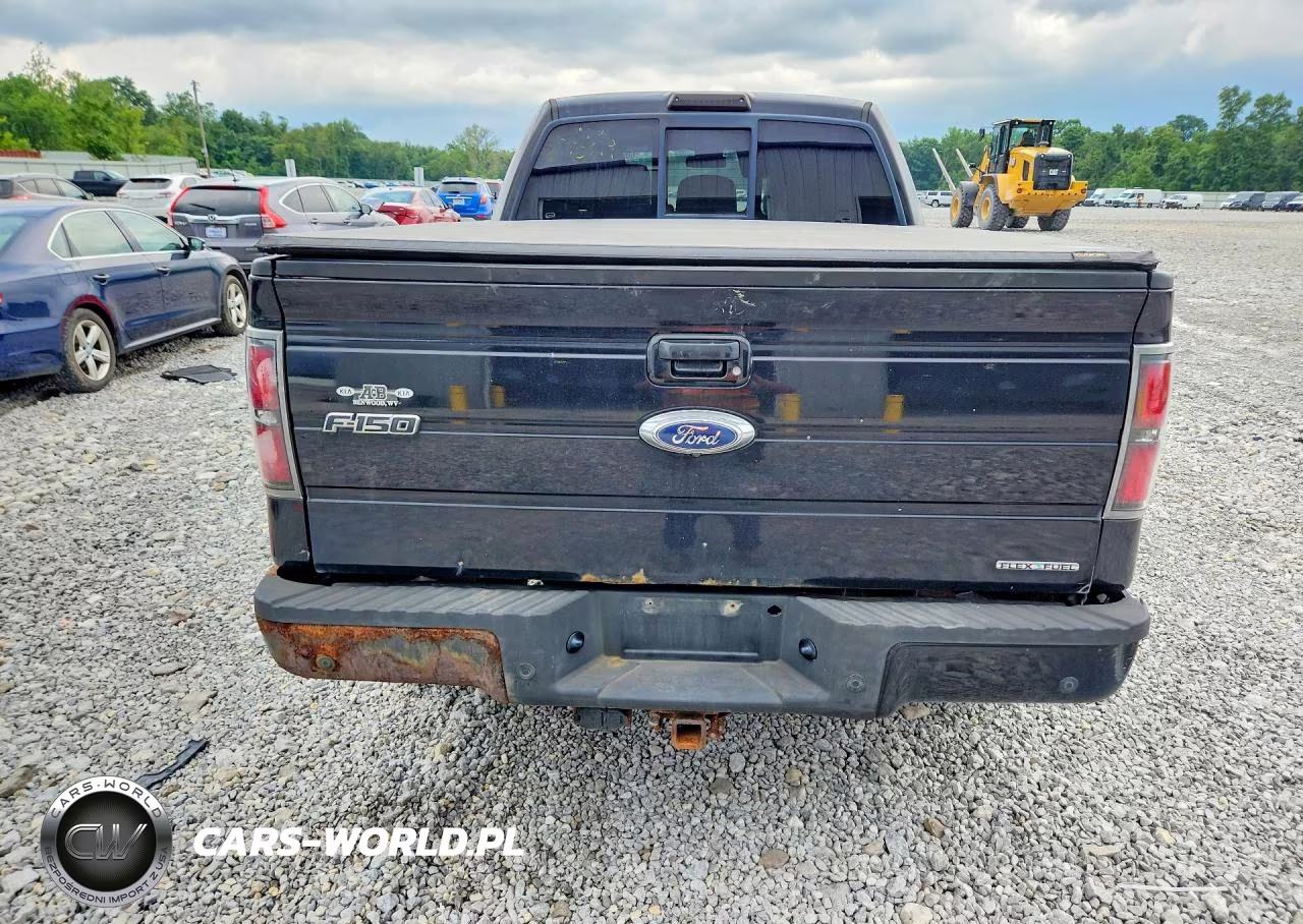 2012 Ford F150 Supercrew VIN:1FTFW1EF0CFC25791 - 6