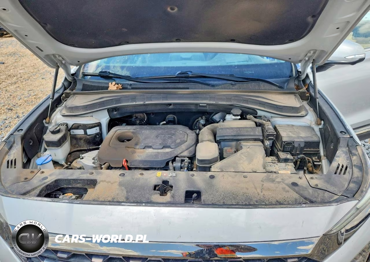 2020 Hyundai Santa Fe Limited VIN:5NMS5CADXLH142289 - 12