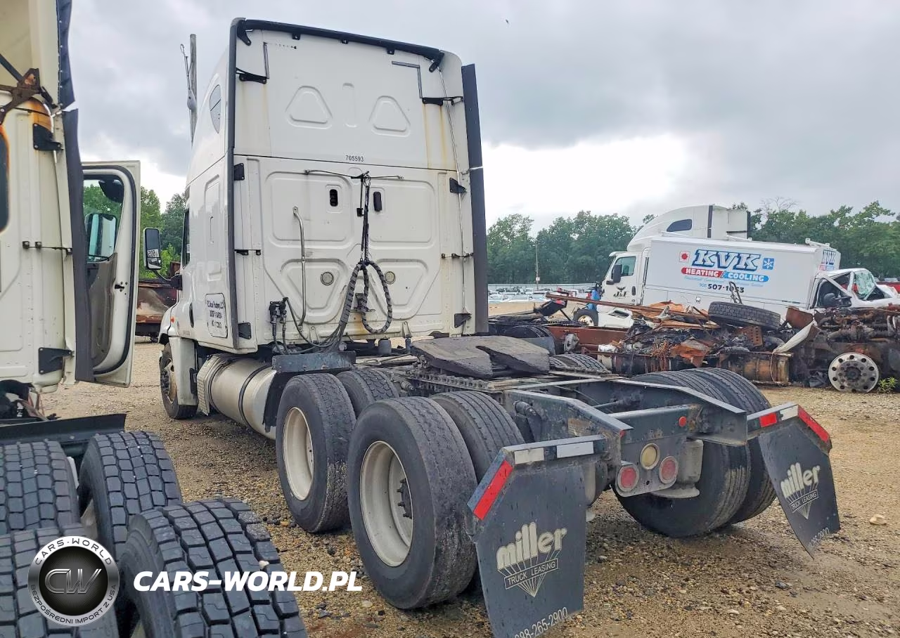 2020 Freightliner Cascadia 125 Semi Truck VIN:3AKJGLDR2LDLU5593 - 2