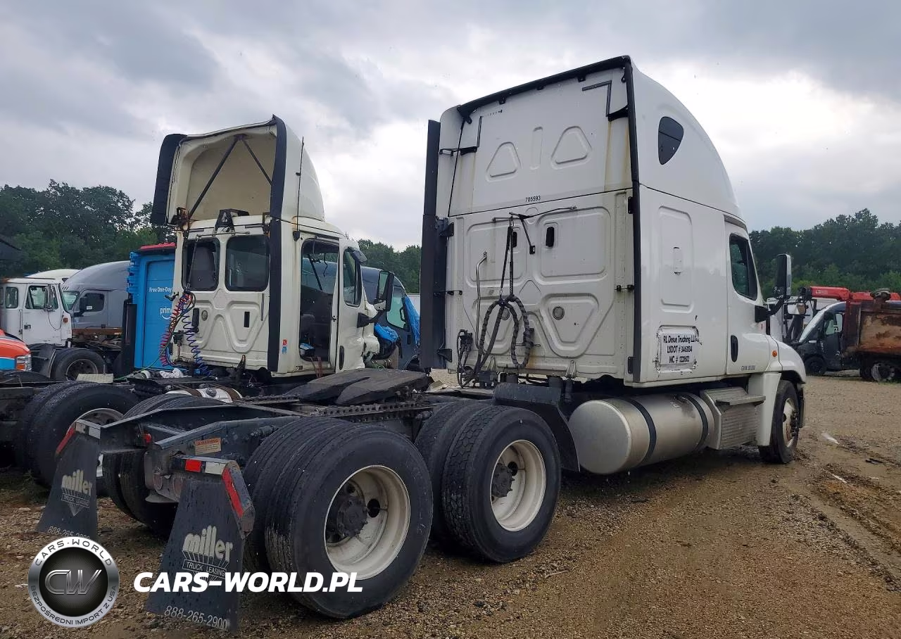 2020 Freightliner Cascadia 125 Semi Truck VIN:3AKJGLDR2LDLU5593 - 3
