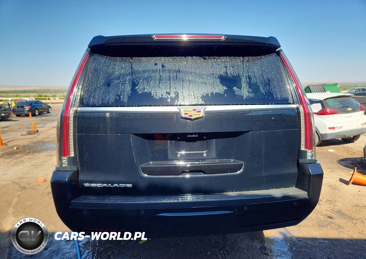 2019 Cadillac Escalade Esv Luxury VIN:1GYS4HKJ4KR195319 - 6