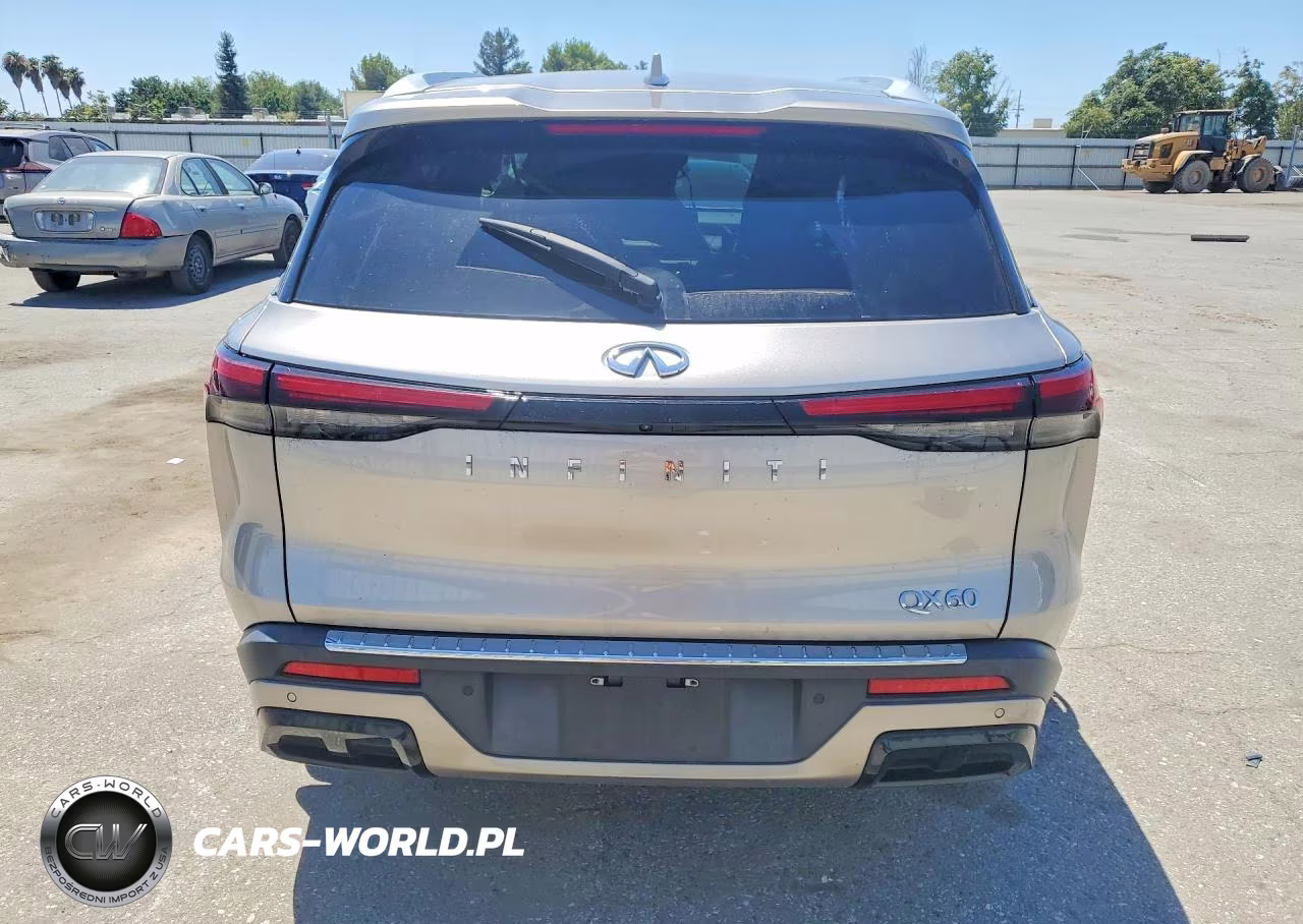 2023 Infiniti Qx60 Luxe VIN:5N1DL1FR7PC376073 - 6