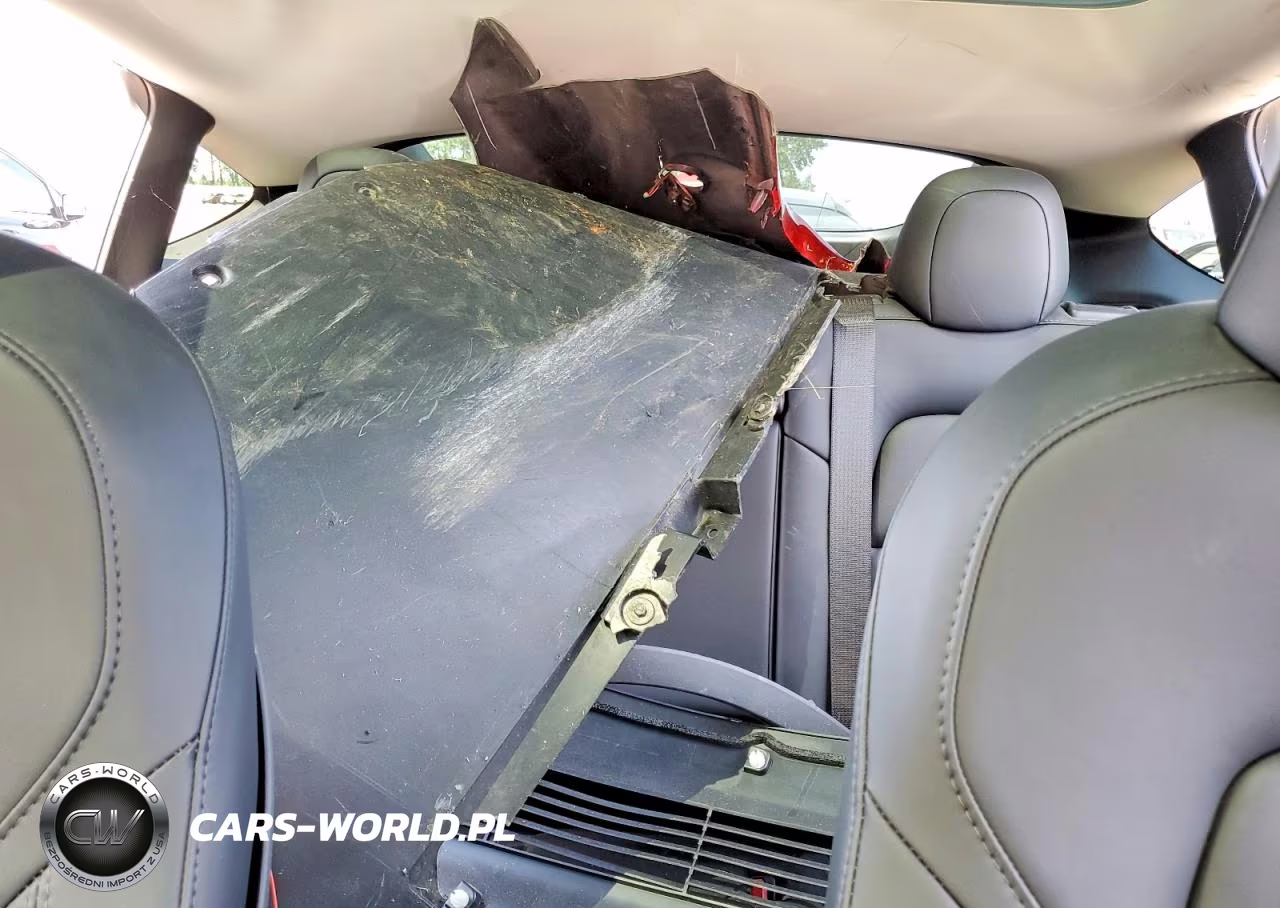 2023 Tesla Model Y VIN:7SAYGDEE8PF674535 - 10