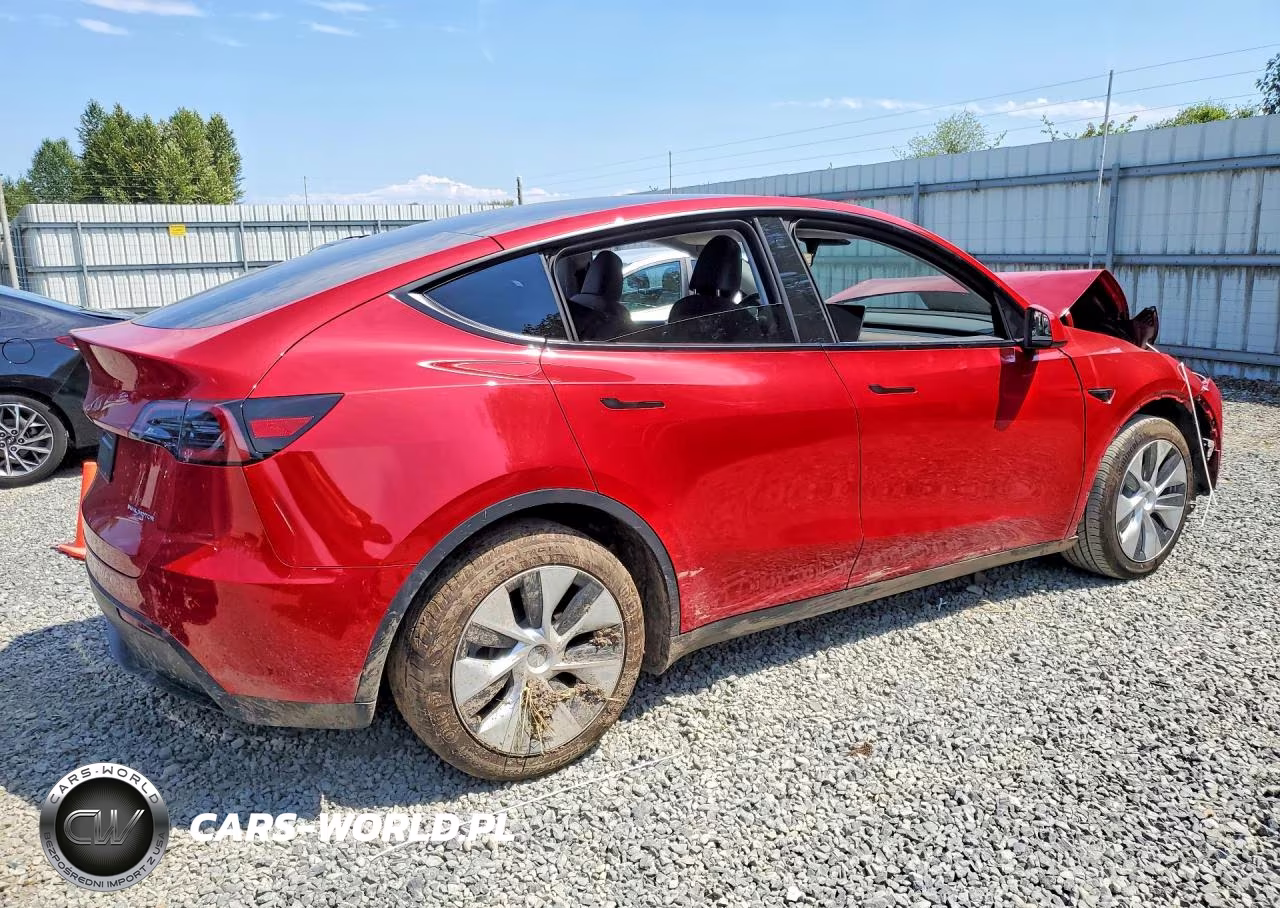 2023 Tesla Model Y VIN:7SAYGDEE8PF674535 - 3