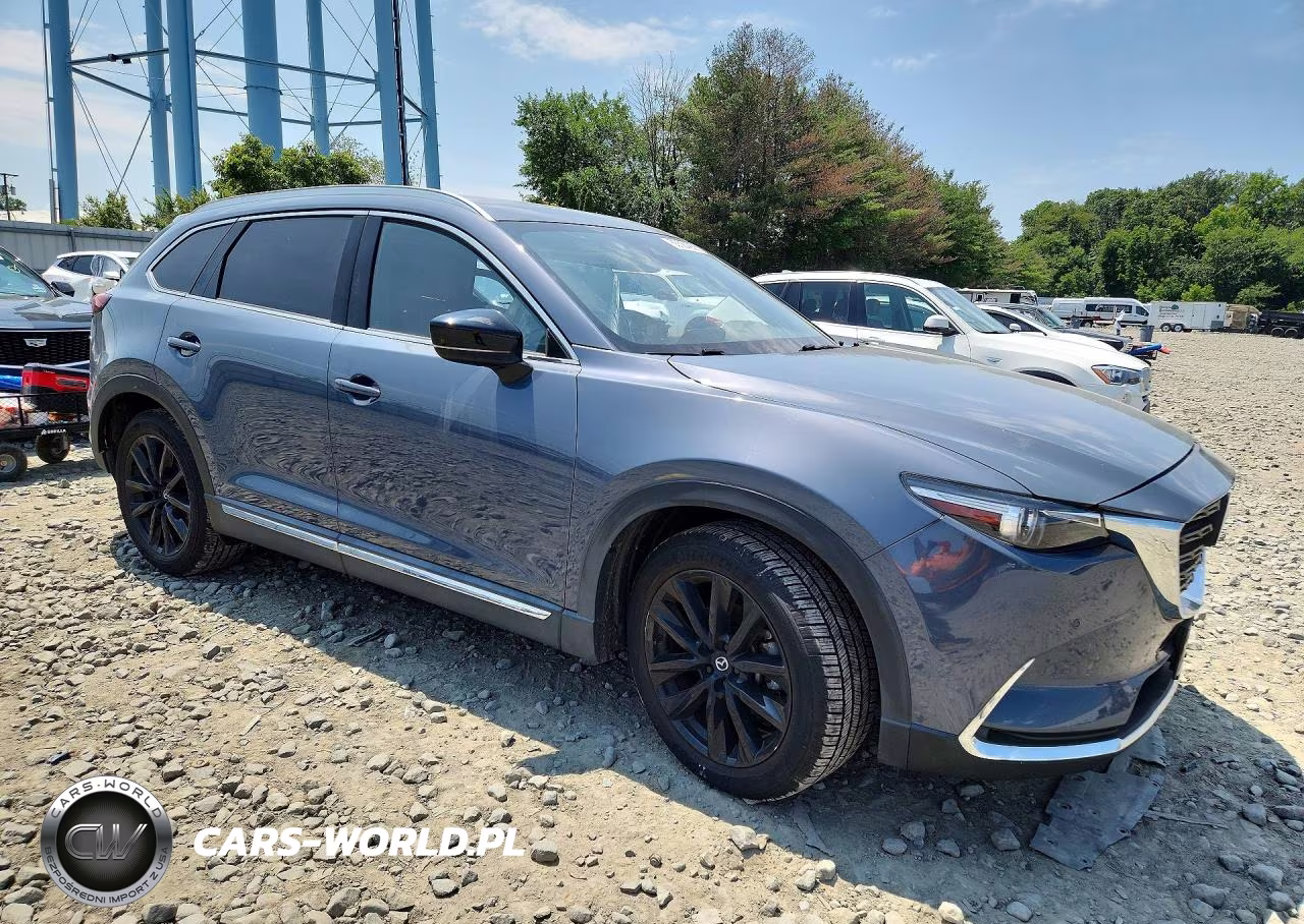2021 Mazda Cx-9 Grand Touring VIN:JM3TCBDY1M0538686 - 4