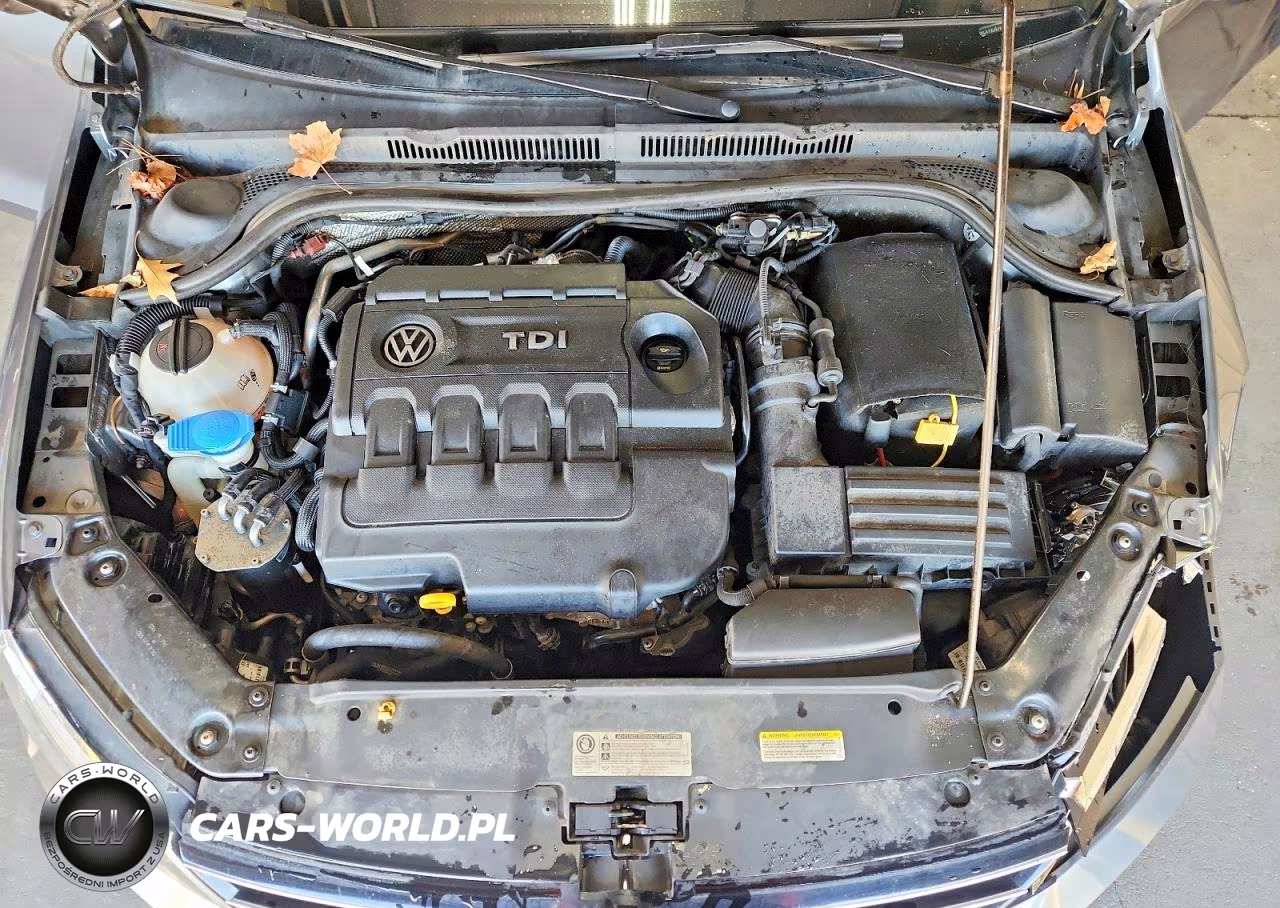 2015 Volkswagen Jetta Tdi VIN:3VWLA7AJ6FM414042 - 11