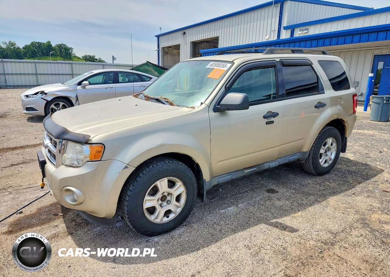 2010 Ford Escape Xlt