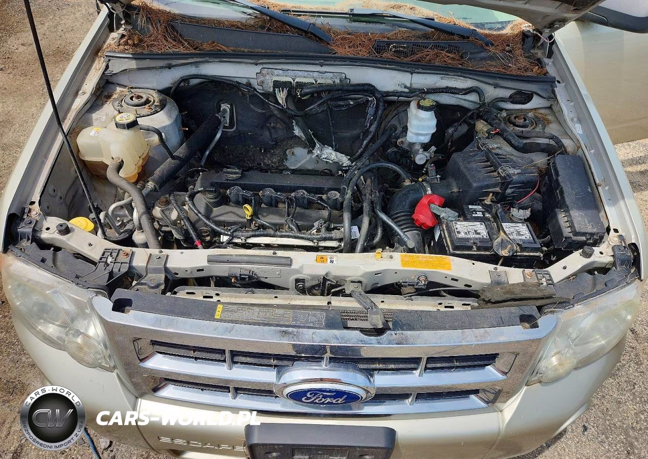 2010 Ford Escape Xlt VIN:1FMCU9D72AKA91593 - 12