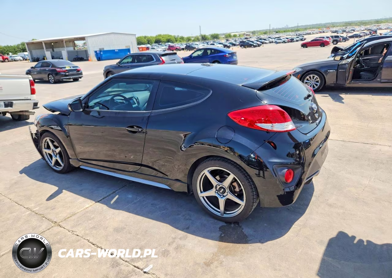 2013 Hyundai Veloster Turbo VIN:KMHTC6AE9DU100206 - 2