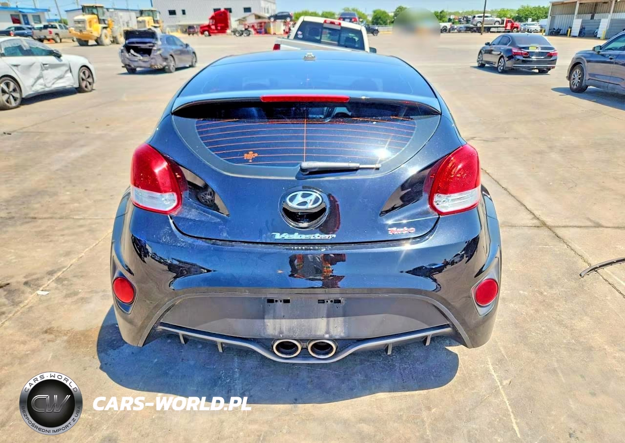 2013 Hyundai Veloster Turbo VIN:KMHTC6AE9DU100206 - 6