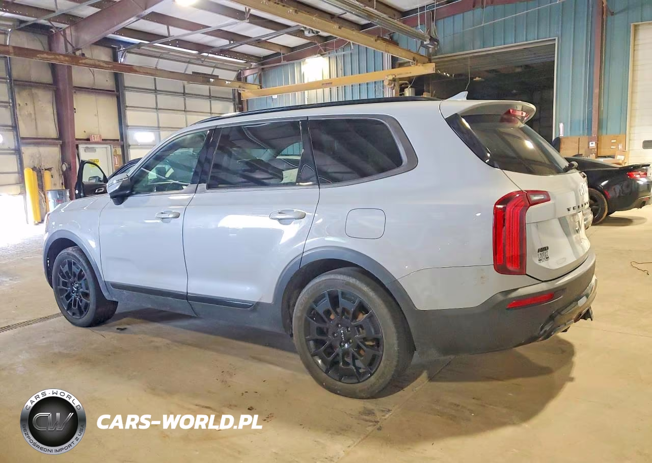 2022 Kia Telluride Lx VIN:5XYP3DHC2NG233262 - 2