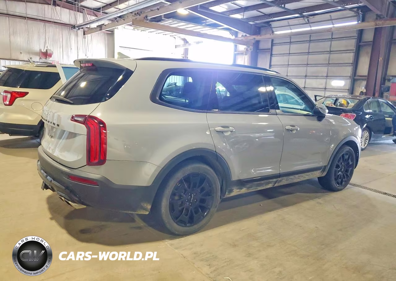 2022 Kia Telluride Lx VIN:5XYP3DHC2NG233262 - 3