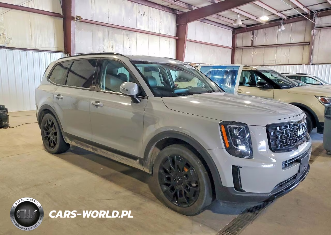 2022 Kia Telluride Lx VIN:5XYP3DHC2NG233262 - 4