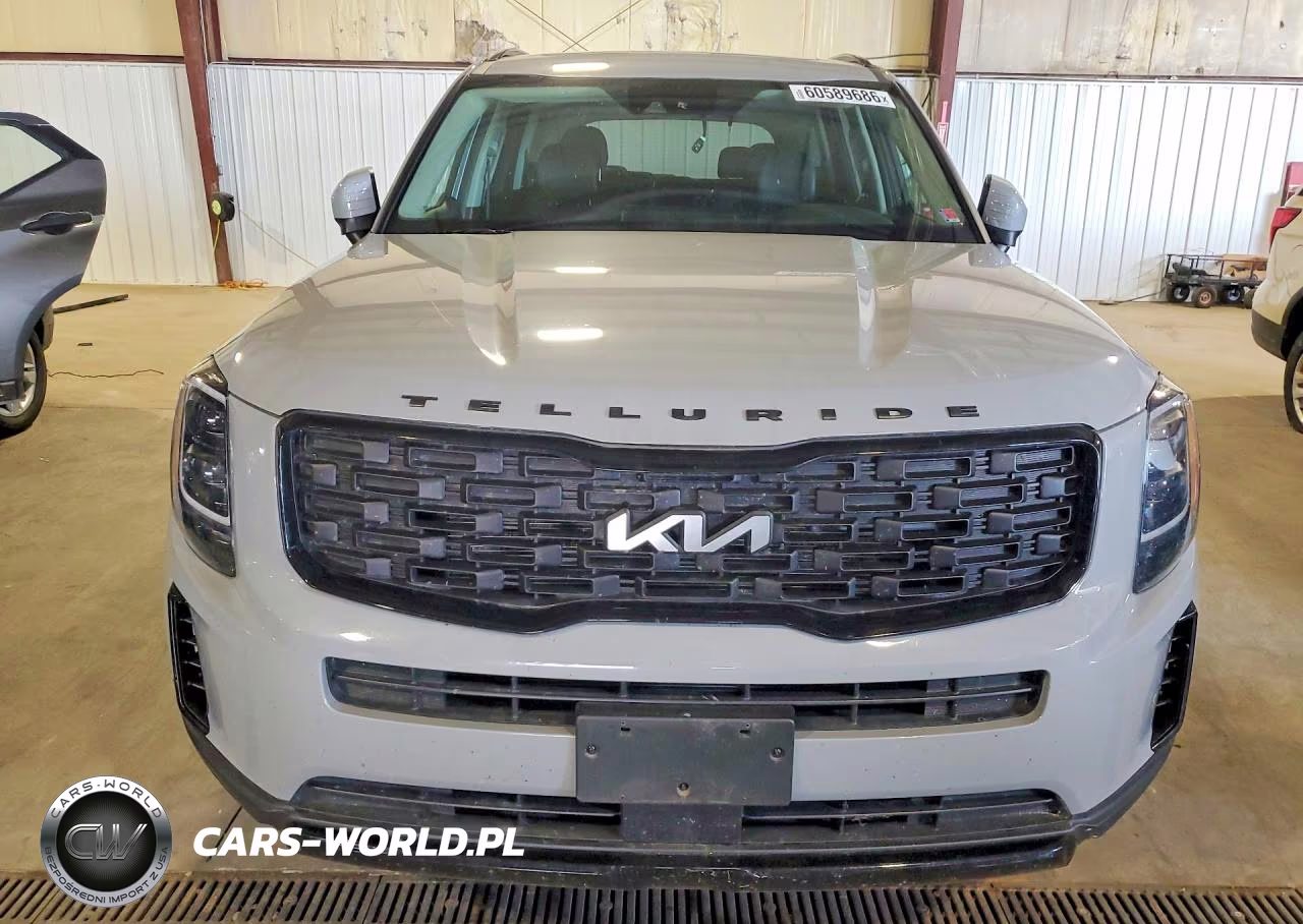 2022 Kia Telluride Lx VIN:5XYP3DHC2NG233262 - 5