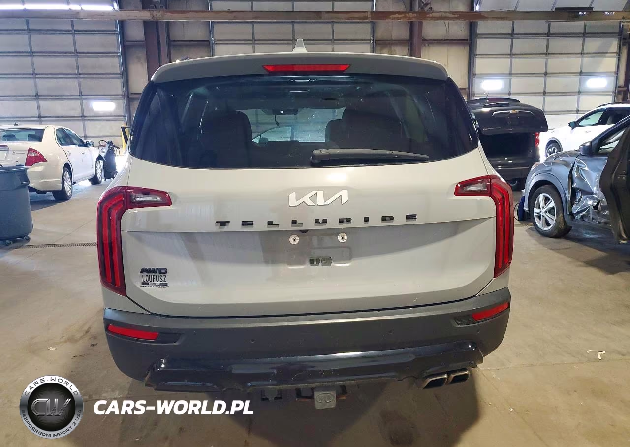 2022 Kia Telluride Lx VIN:5XYP3DHC2NG233262 - 6