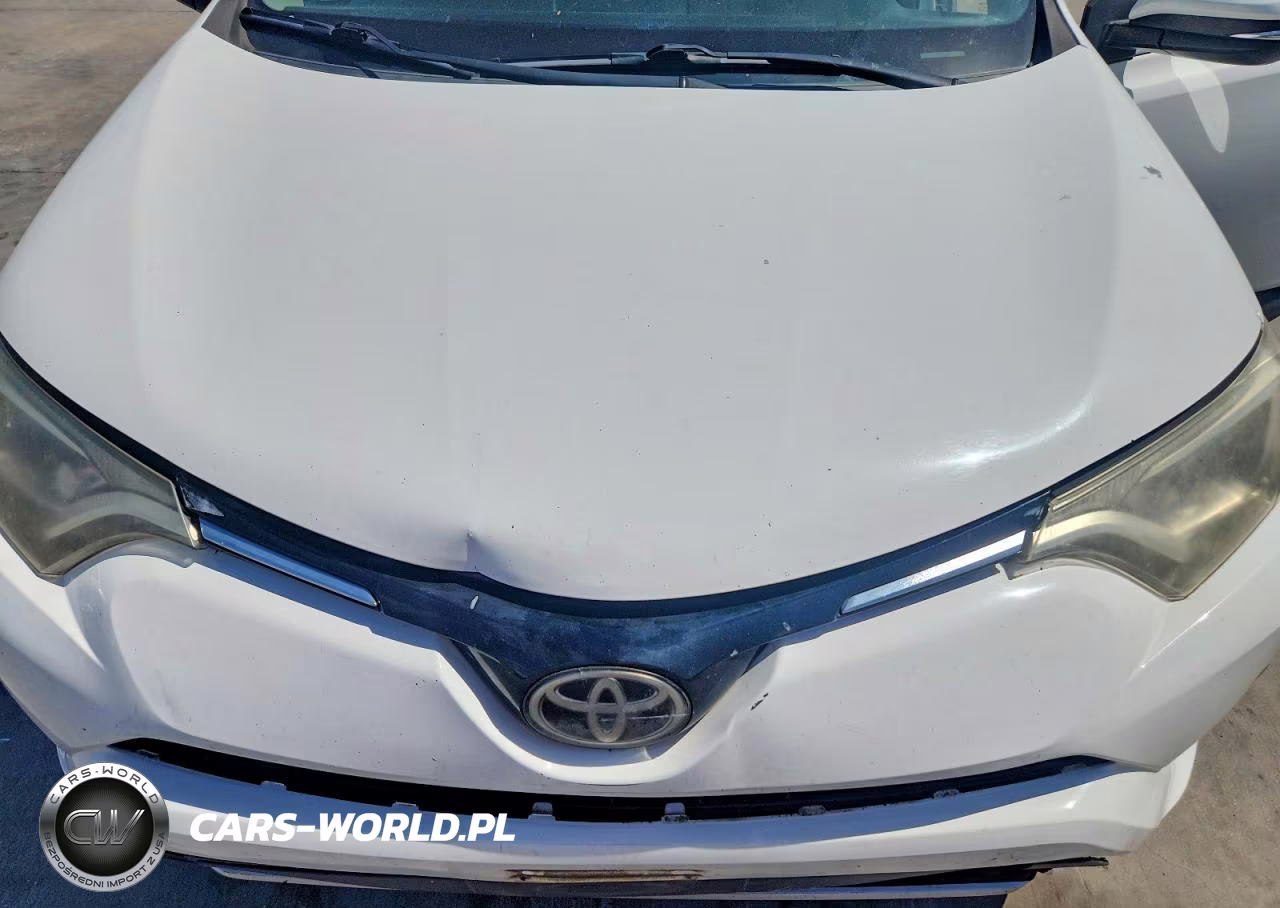 2018 Toyota Rav4 Xle VIN:2T3WFREVXJW425496 - 12