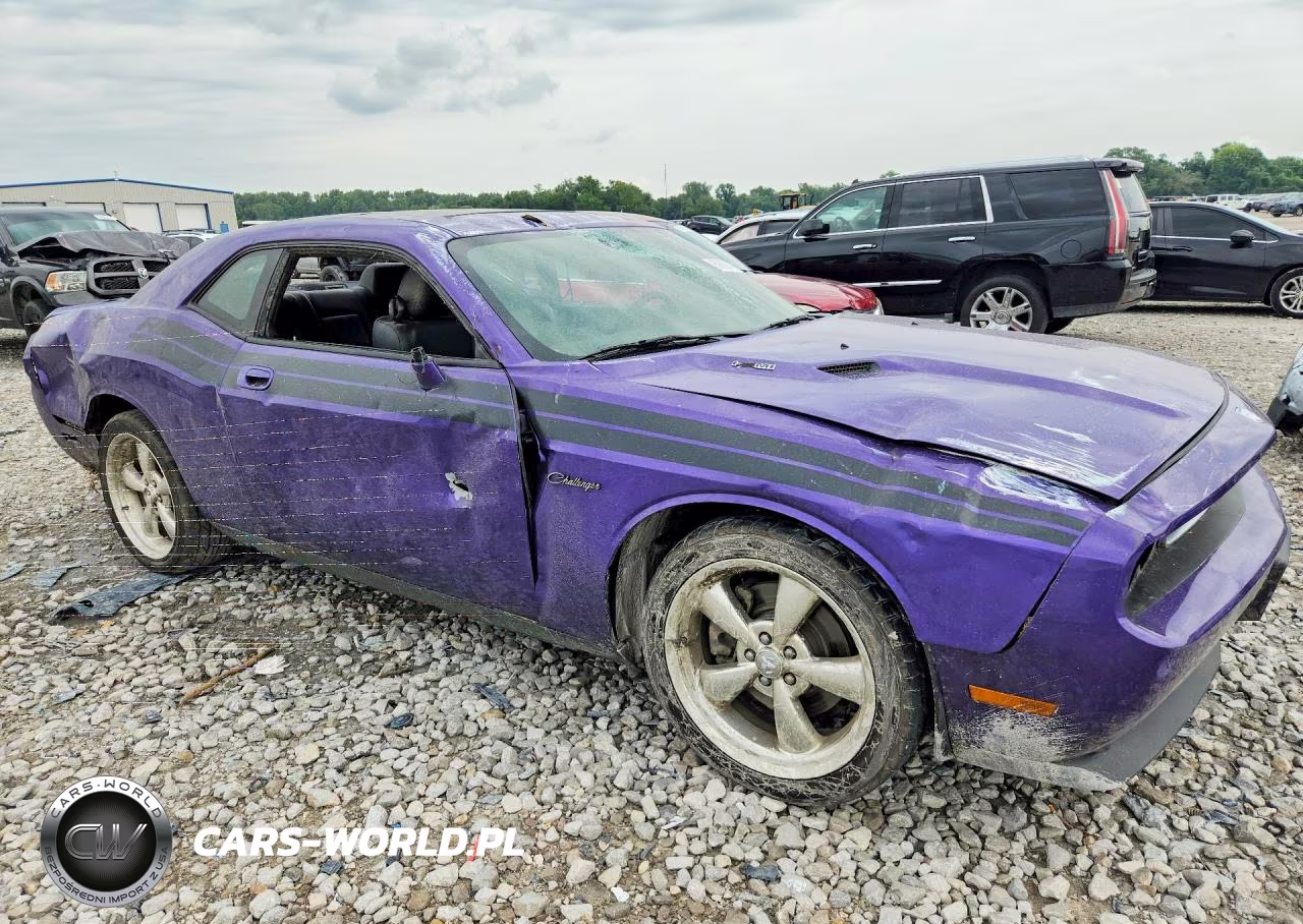 2010 Dodge Challenger R-T VIN:2B3CJ5DTXAH174796 - 4
