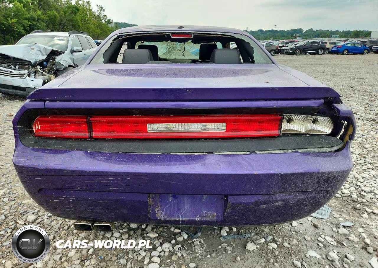 2010 Dodge Challenger R-T VIN:2B3CJ5DTXAH174796 - 6