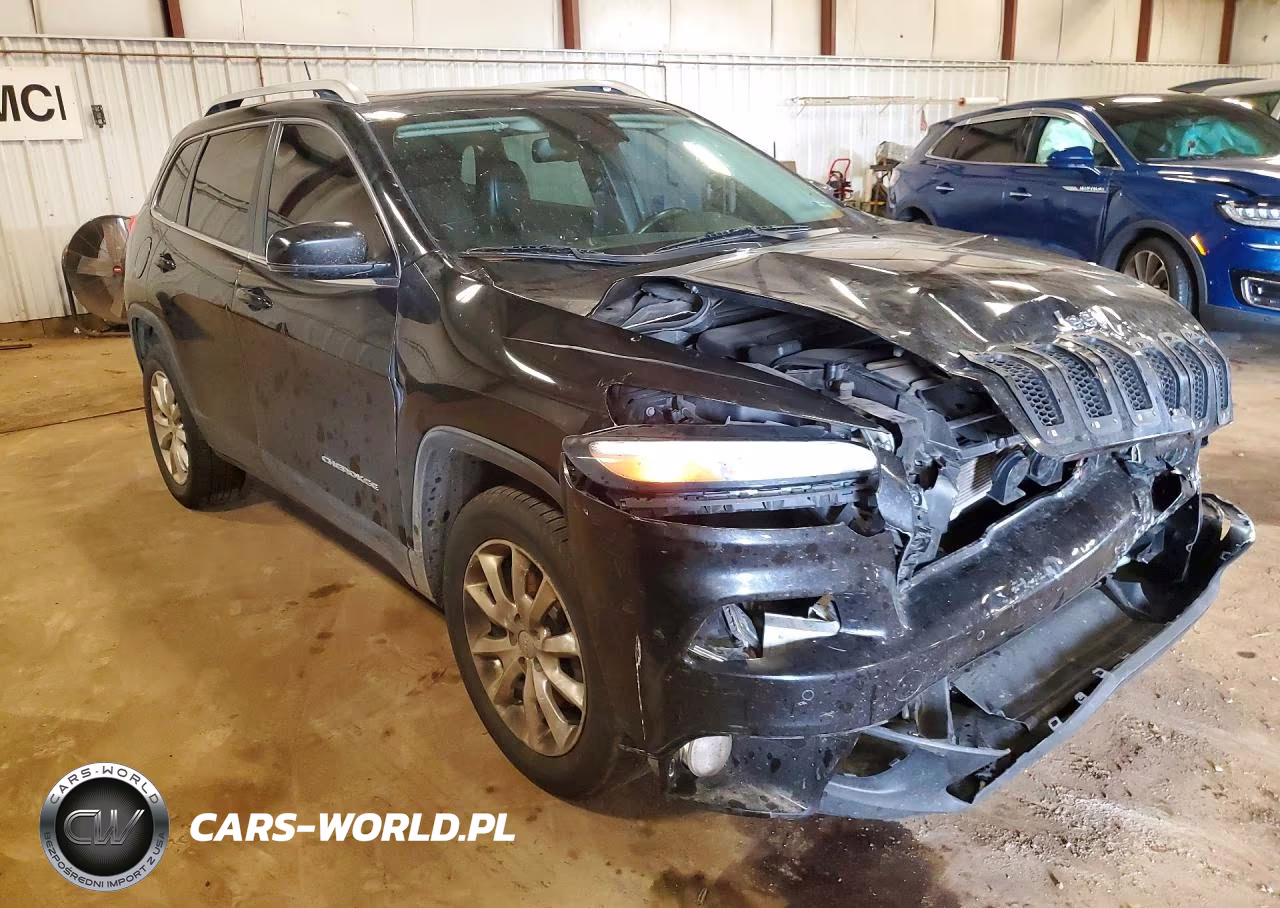 2014 Jeep Cherokee Limited VIN:1C4PJMDB1EW257011 - 4