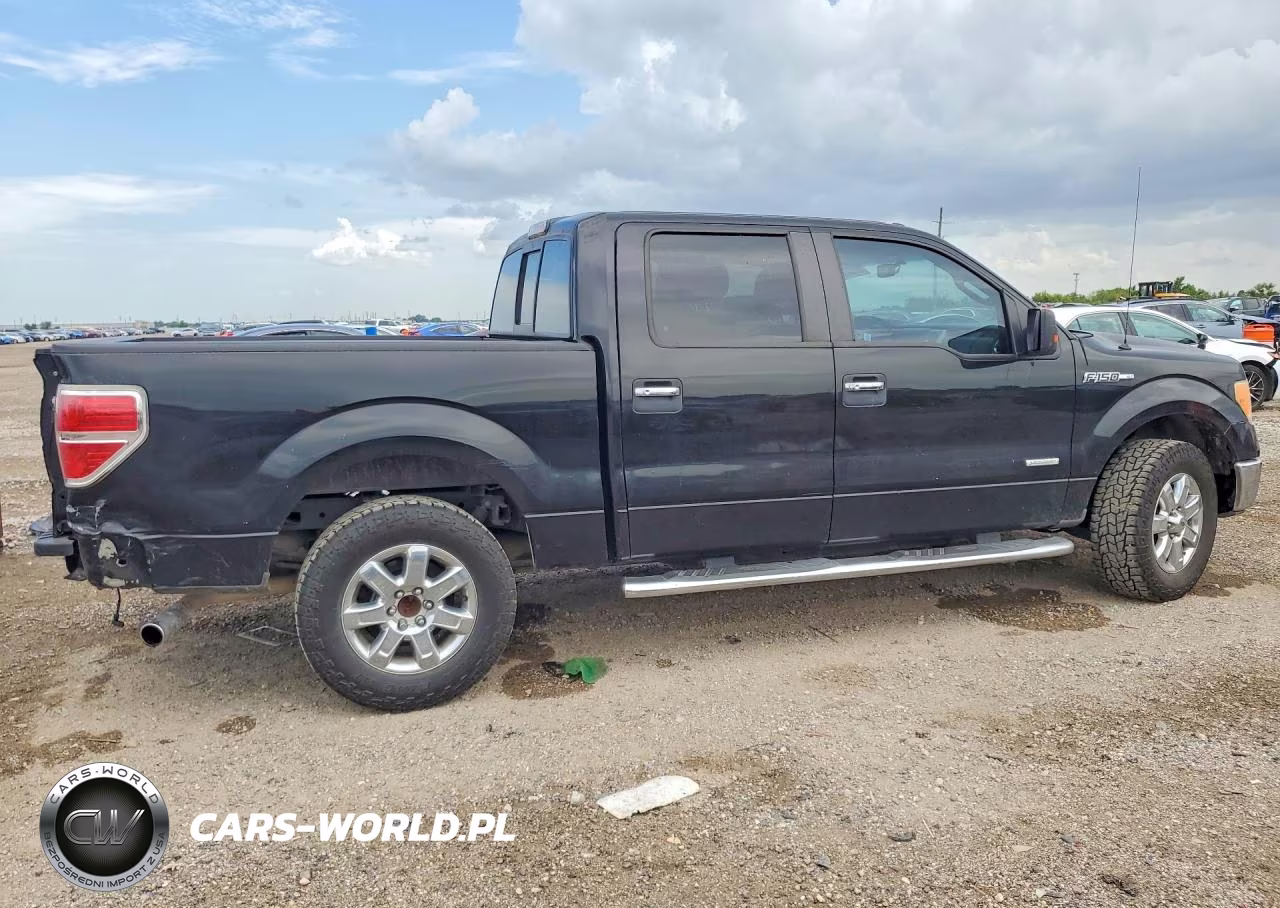 2013 Ford F150 Supercrew VIN:1FTFW1CT8DKG45946 - 3