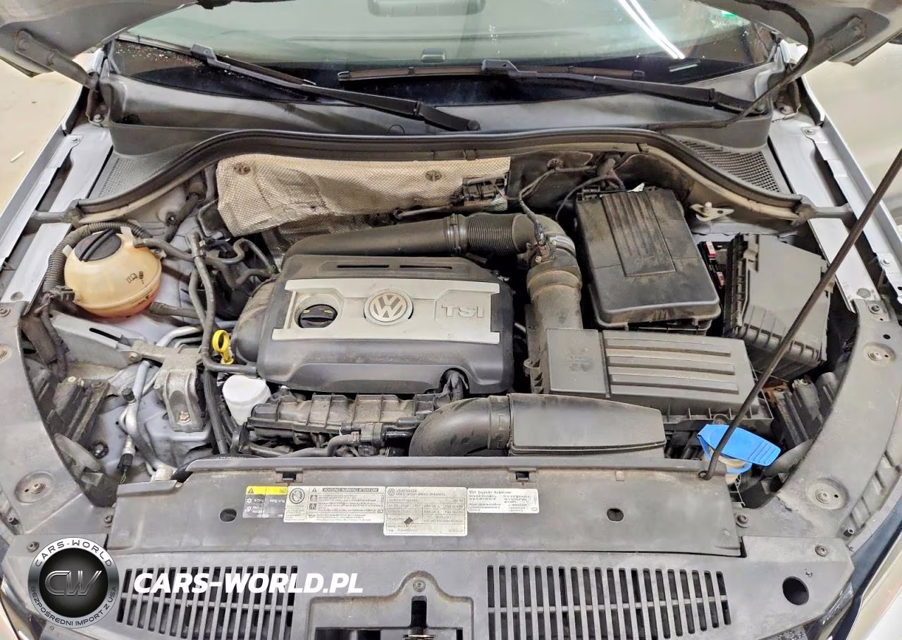 2016 Volkswagen Tiguan S VIN:WVGAV7AX3GW529083 - 12