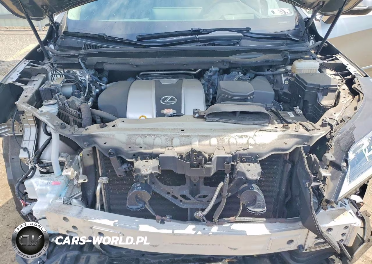 2019 Lexus Rx 350 L VIN:JTJDZKCA2K2018723 - 12