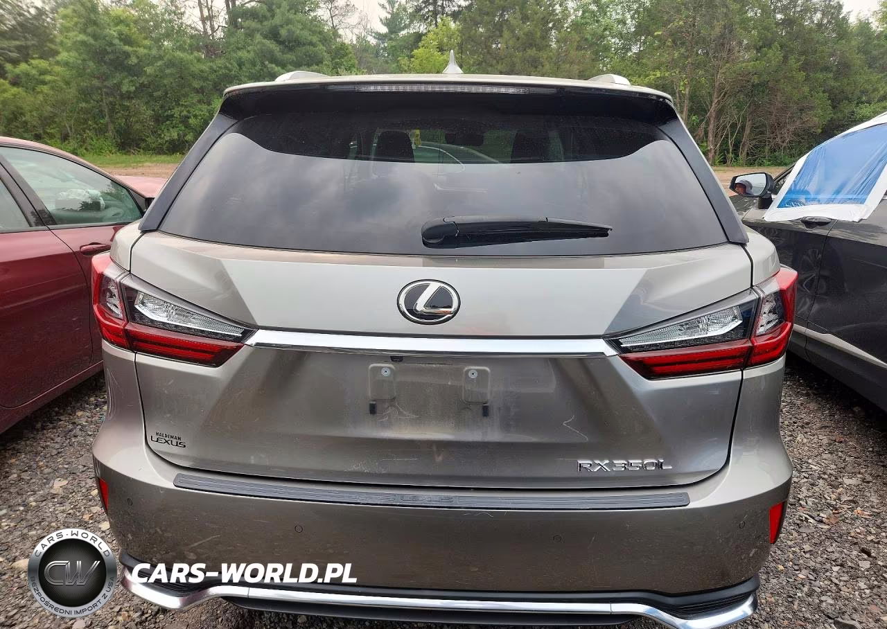 2019 Lexus Rx 350 L VIN:JTJDZKCA2K2018723 - 6
