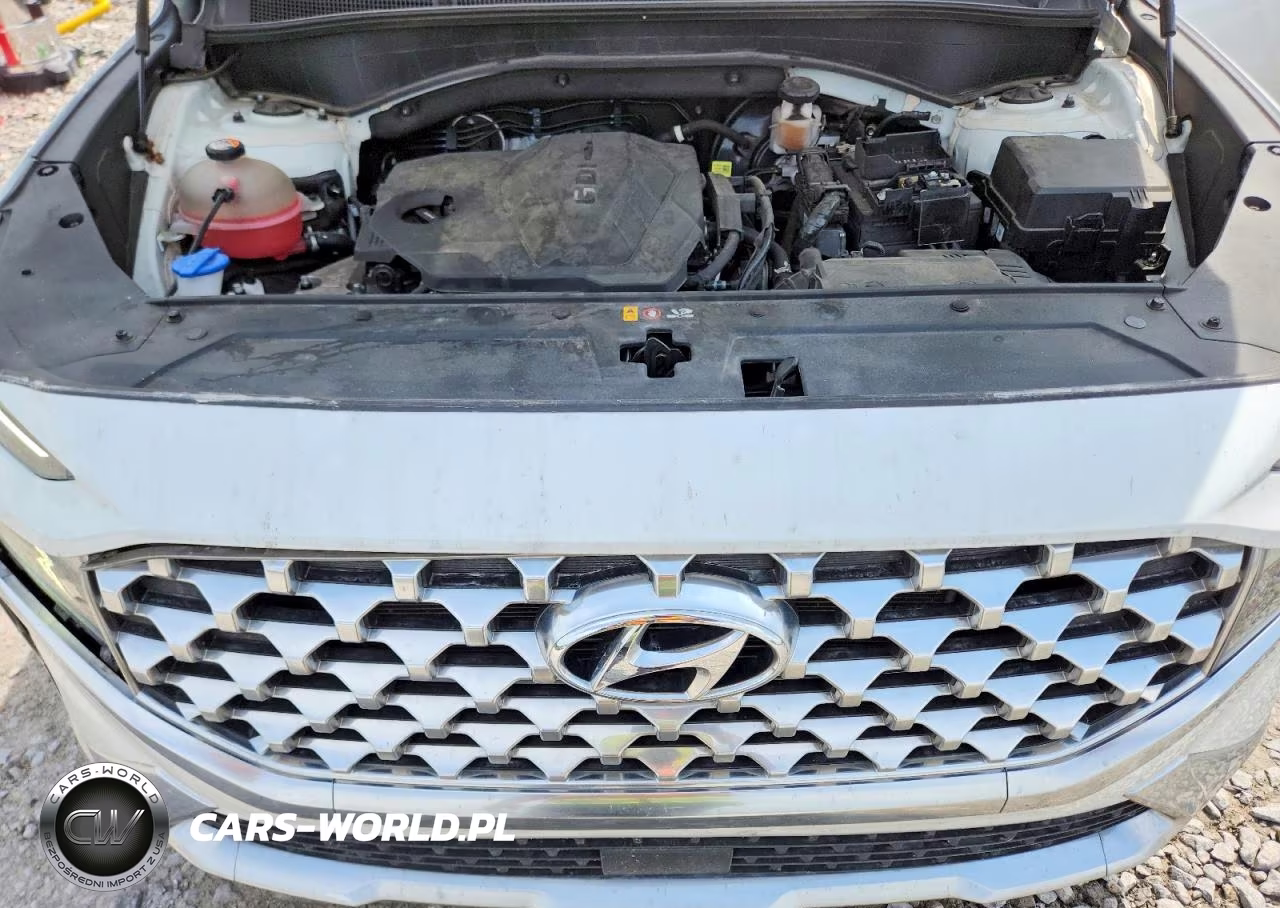 2021 Hyundai Santa Fe Sel VIN:5NMS24AJXMH306825 - 12