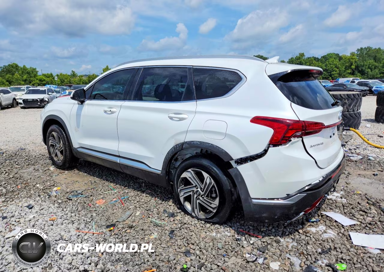2021 Hyundai Santa Fe Sel VIN:5NMS24AJXMH306825 - 2