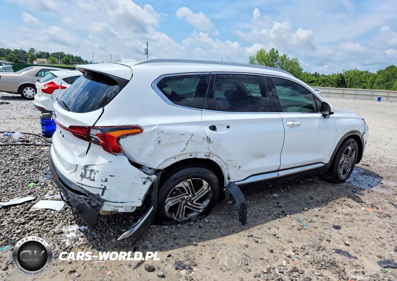 2021 Hyundai Santa Fe Sel VIN:5NMS24AJXMH306825 - 3