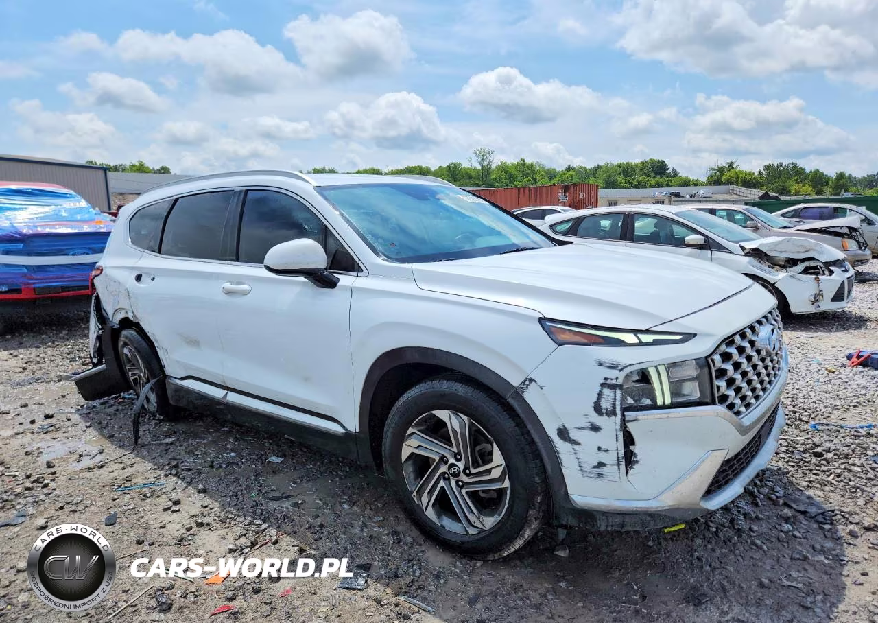 2021 Hyundai Santa Fe Sel VIN:5NMS24AJXMH306825 - 4