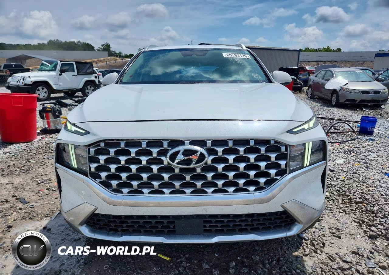 2021 Hyundai Santa Fe Sel VIN:5NMS24AJXMH306825 - 5