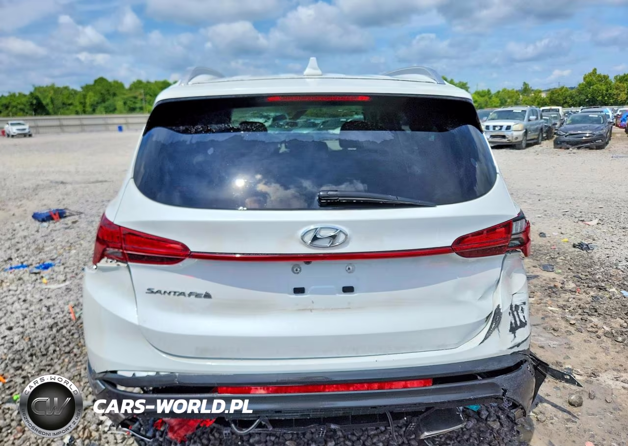 2021 Hyundai Santa Fe Sel VIN:5NMS24AJXMH306825 - 6