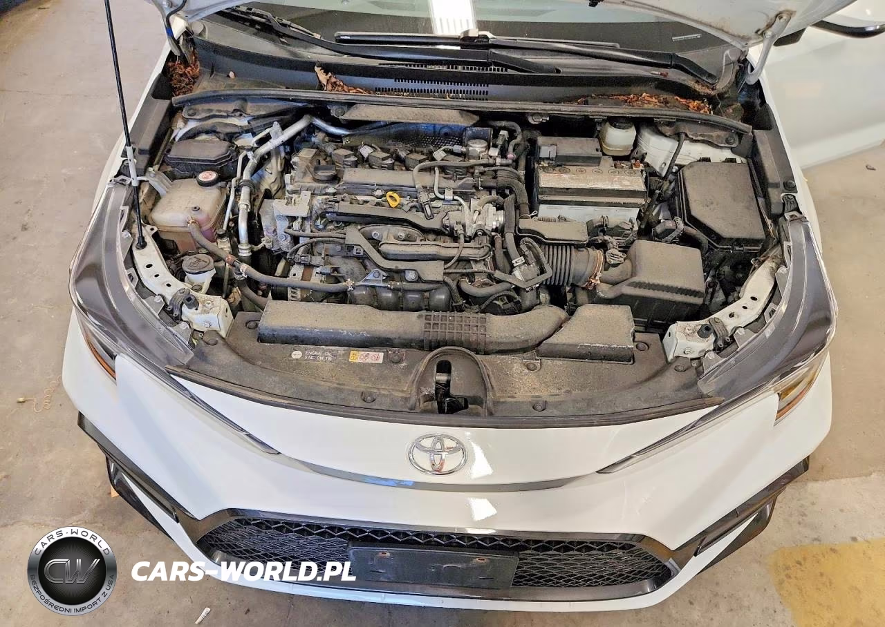 2020 Toyota Corolla Se VIN:JTDS4RCEXLJ022675 - 12