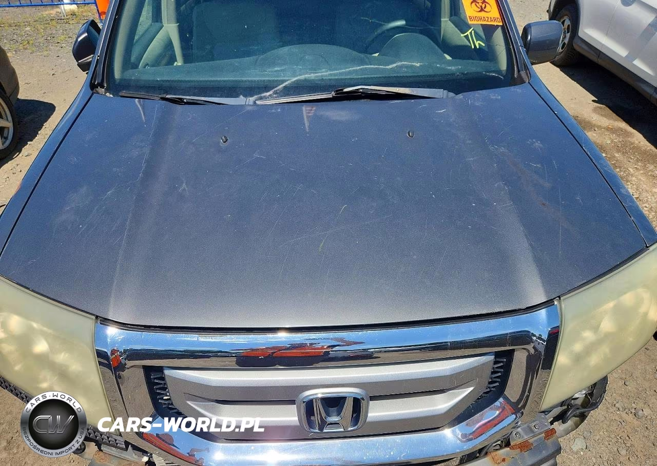 2009 Honda Pilot Ex VIN:5FNYF48469B012152 - 12