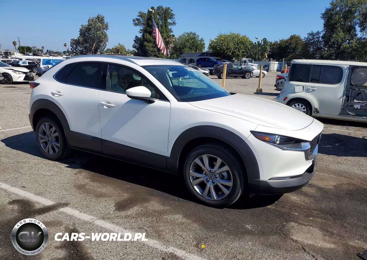 2023 Mazda Cx-30 Premium VIN:3MVDMBDM0PM556863 - 4